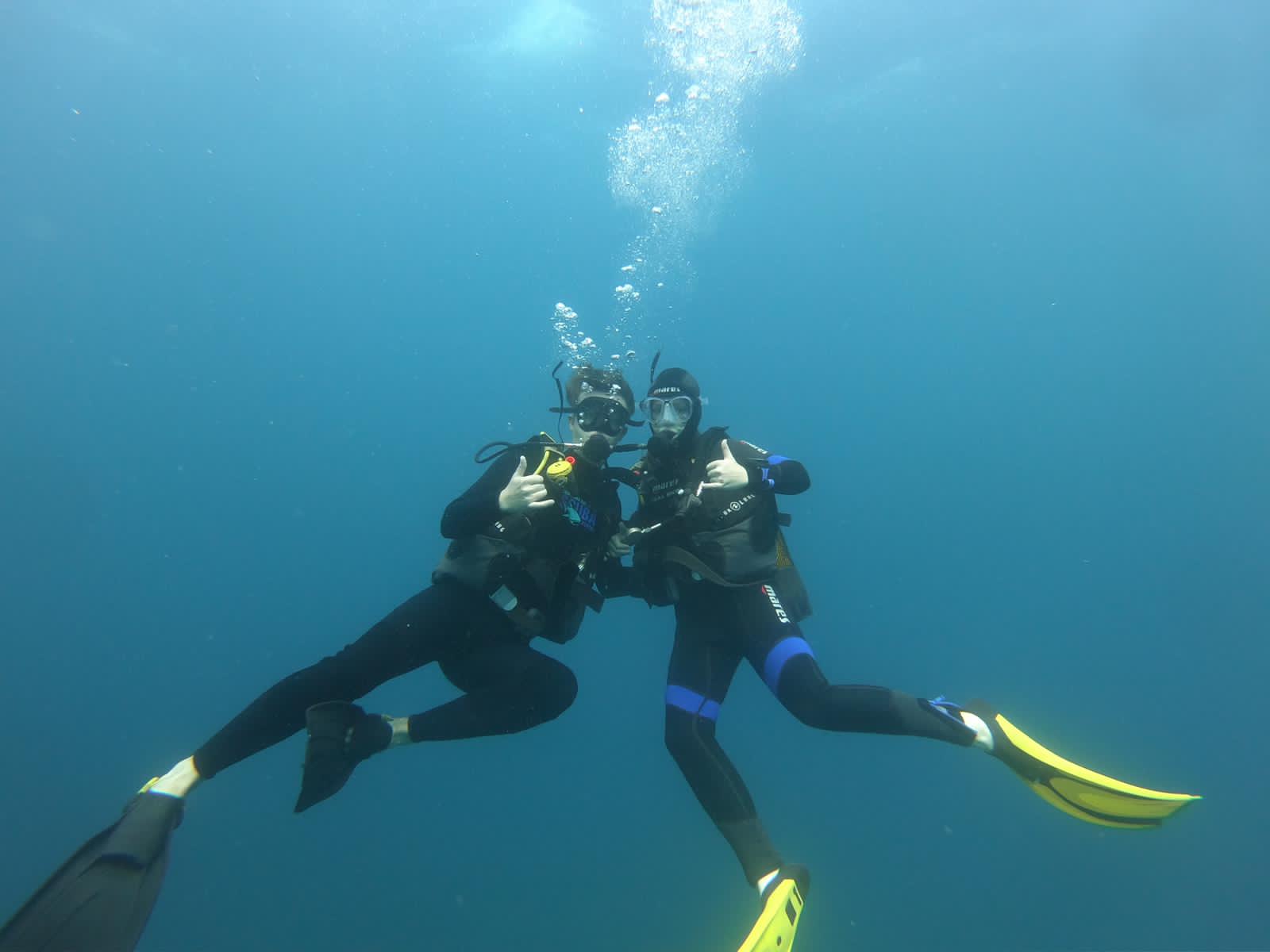 Marine Biology and Reef Conservation internships, Sodwana Bay, South Africa, Intern Abroad HQ