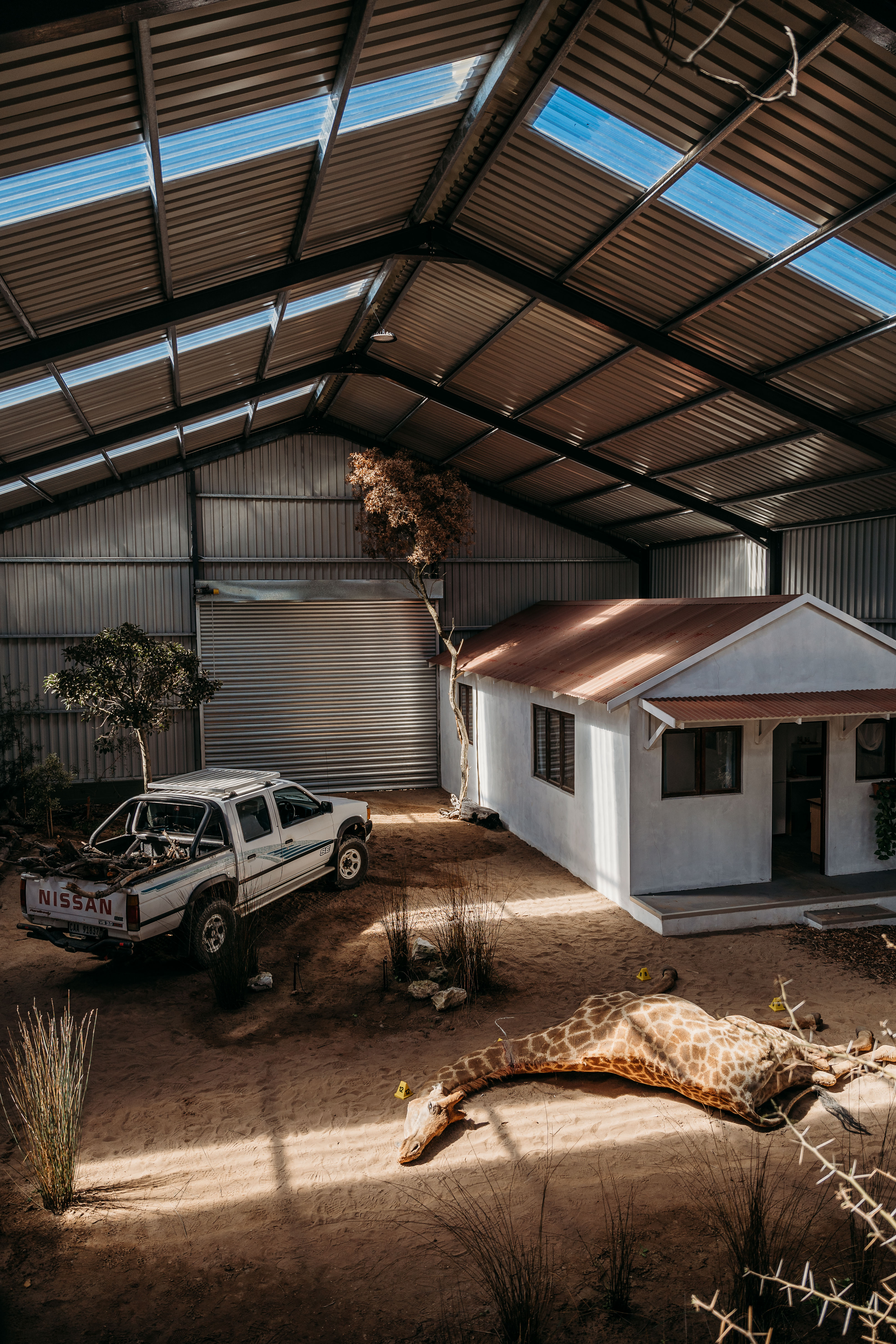 Inside view of the training facility for wildlife forensics internship