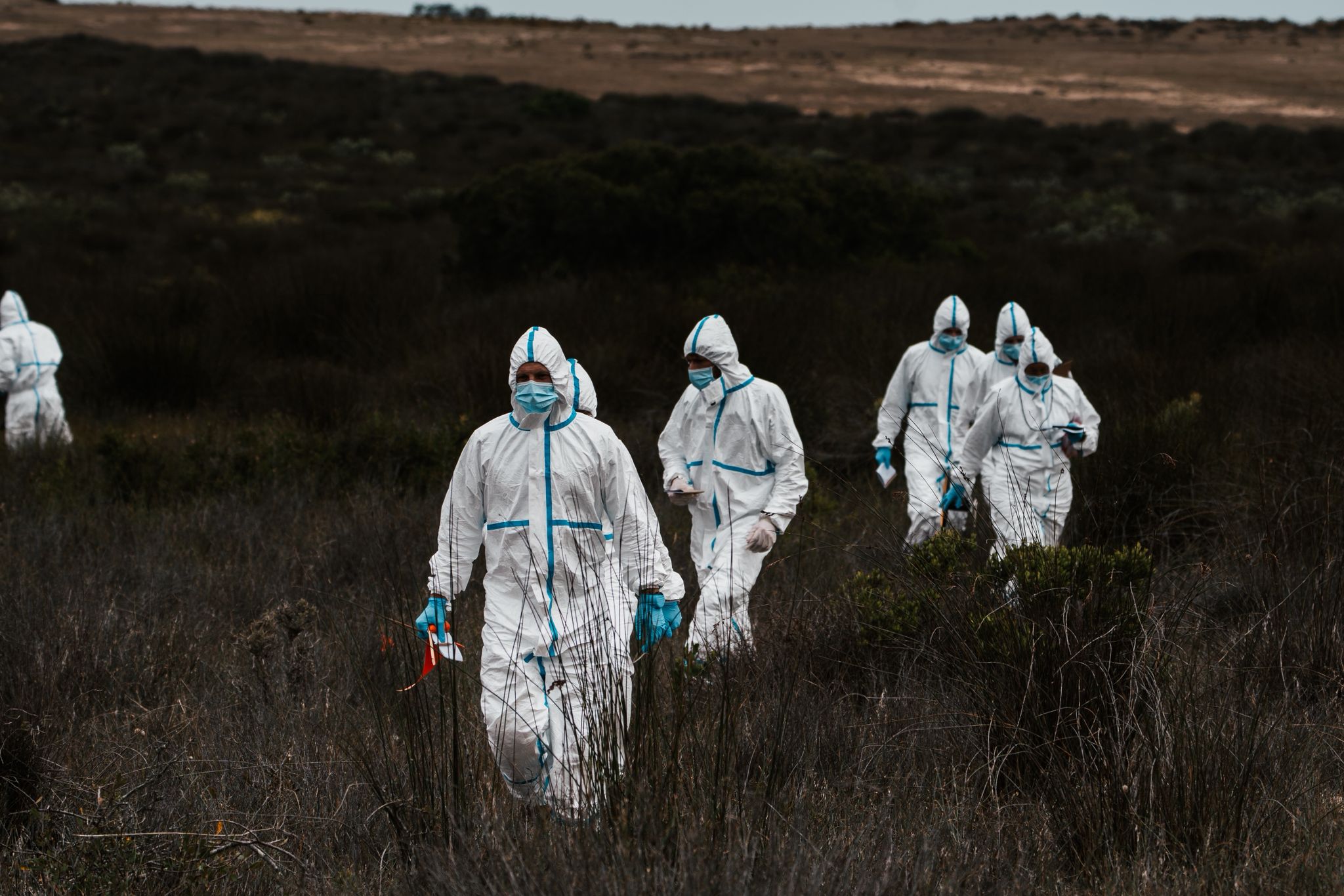 Outdoor crime scene example, training from the wildlife forensics internship course