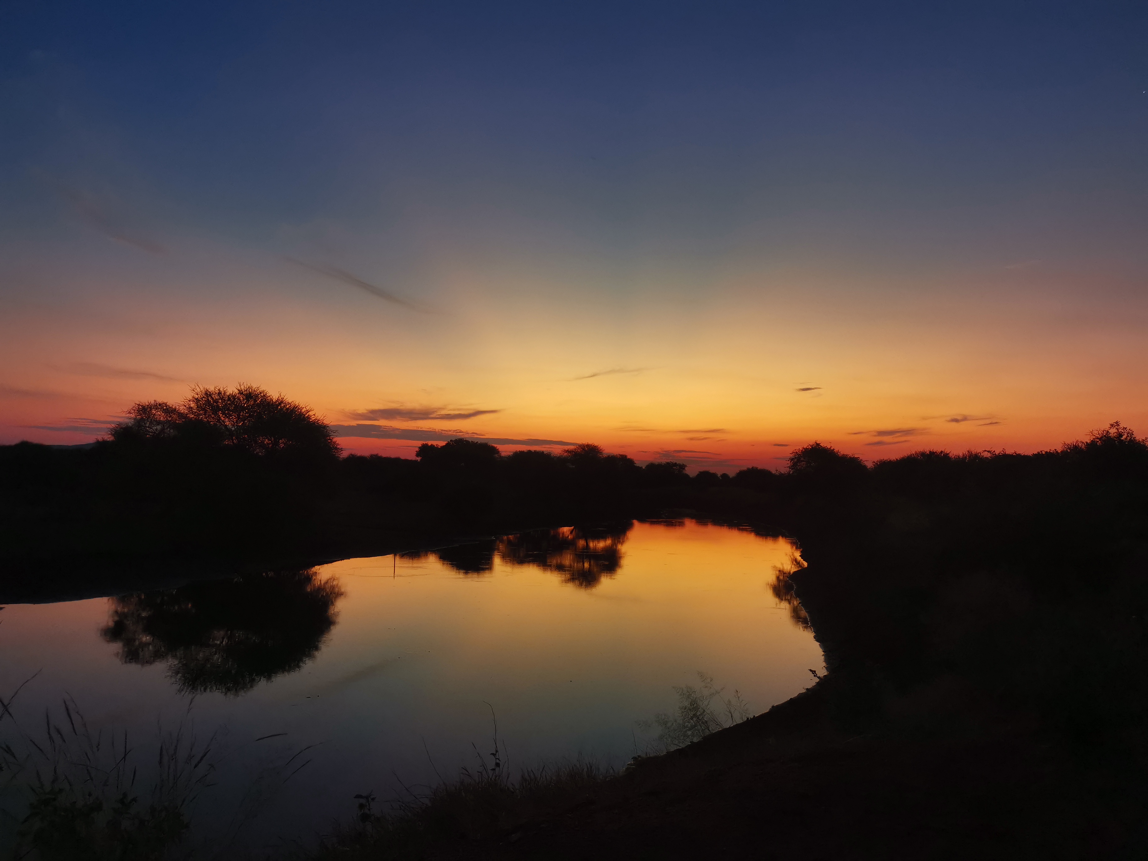 Wildlife, Ecology & Anthropological Research Internships in Mogalakwena