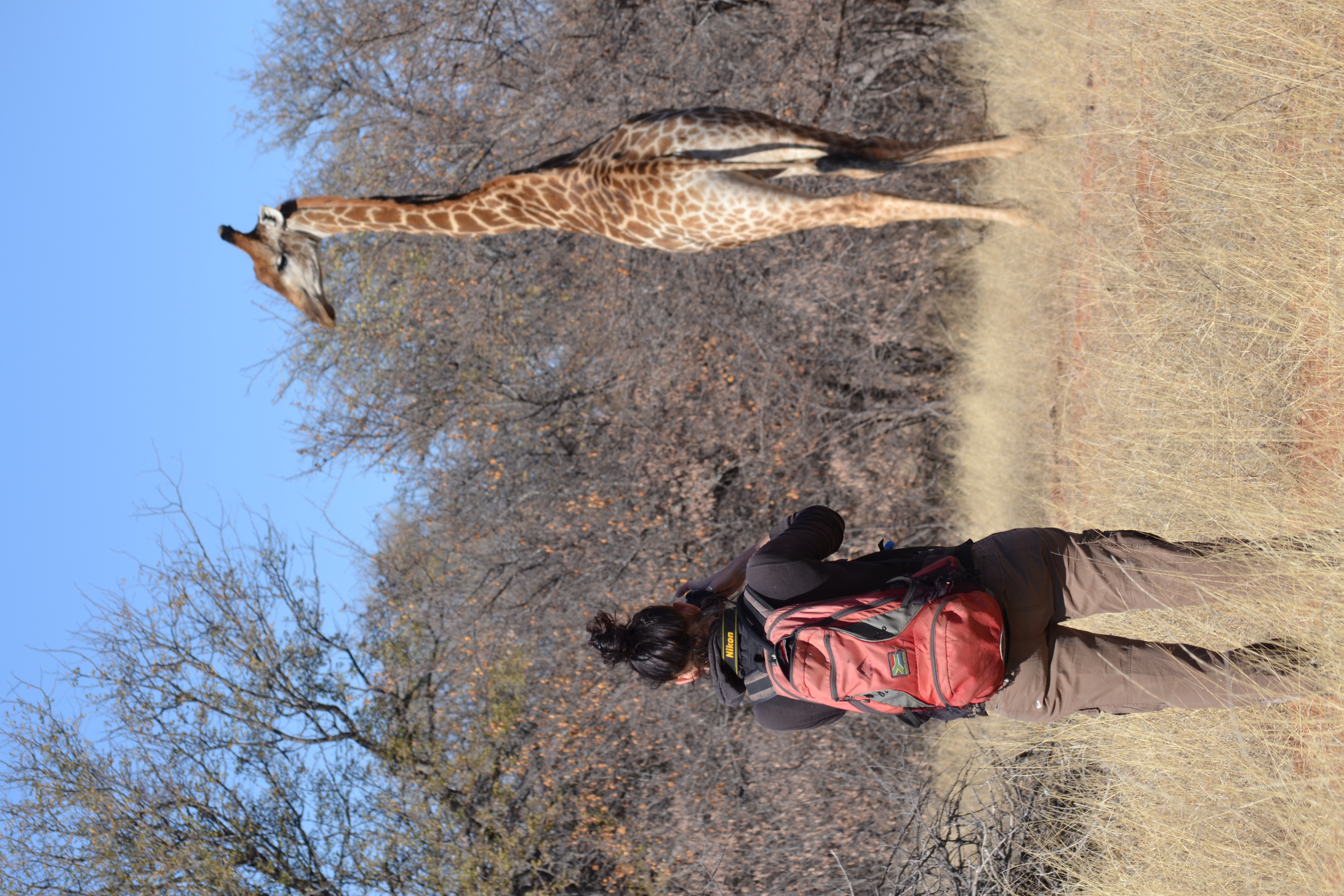 Wildlife, Ecology & Anthropological Research Internships in Mogalakwena