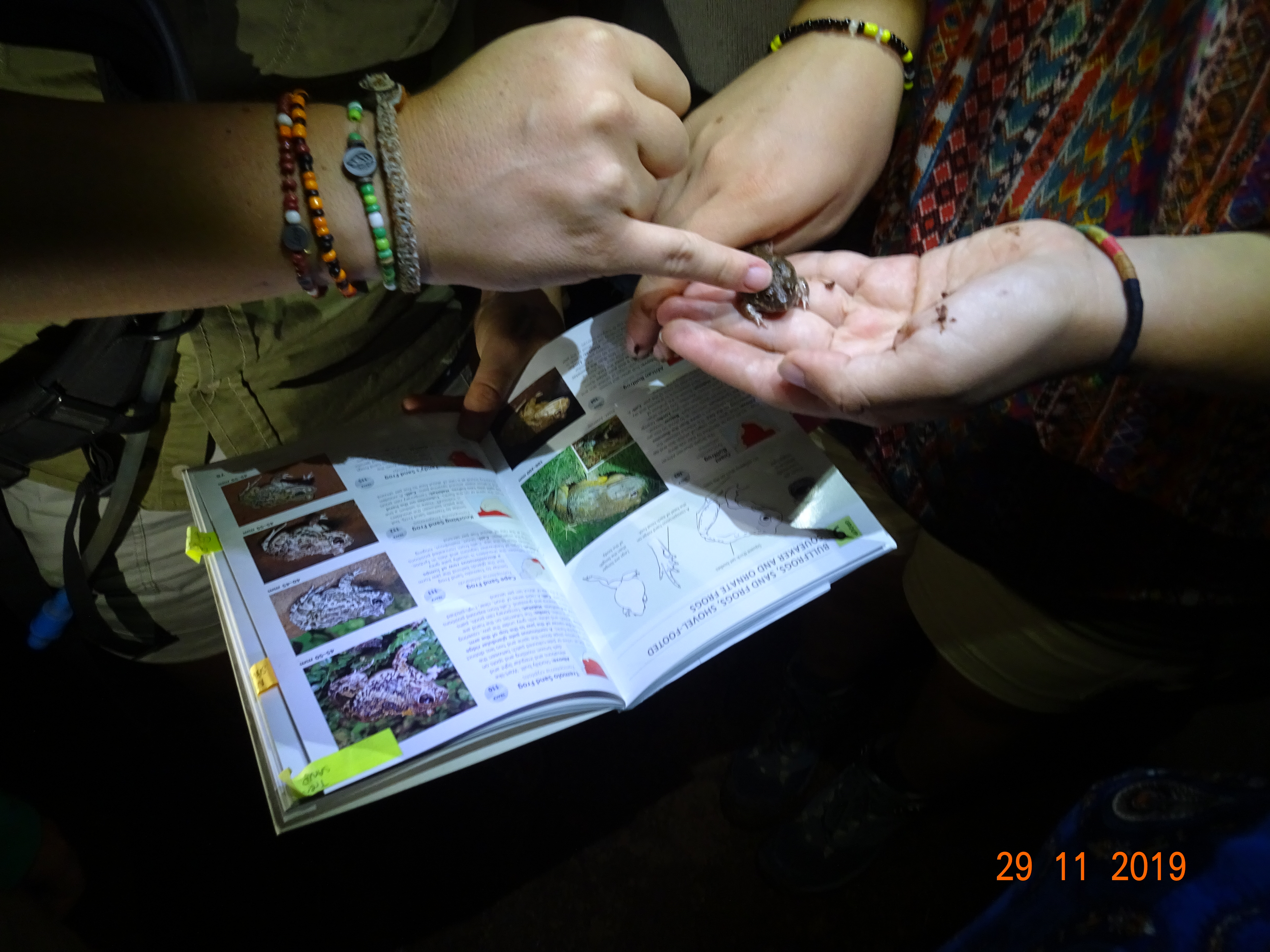 Wildlife, Ecology & Anthropological Research Internships in Mogalakwena