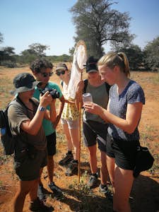 Wildlife, Ecology & Anthropological Research Internships in Mogalakwena