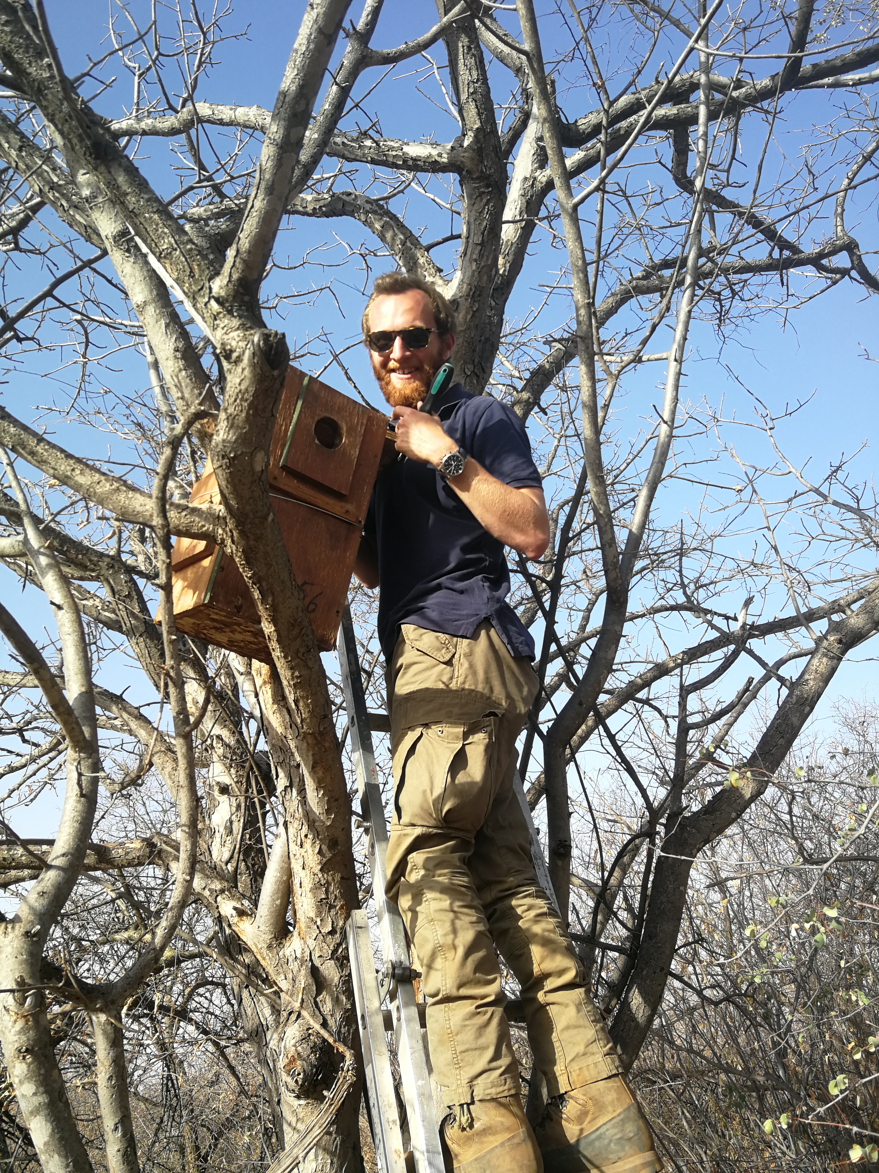 Wildlife, Ecology & Anthropological Research Internships in Mogalakwena