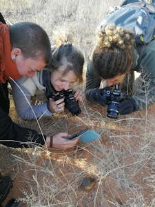 Wildlife, Ecology & Anthropological Research Internships in Mogalakwena