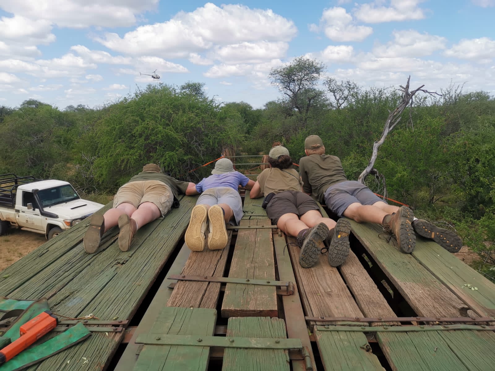 Wildlife, Ecology & Anthropological Research Internships in Mogalakwena