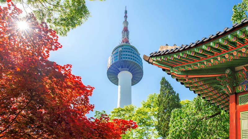 Intern Abroad in Seoul, South Korea, Intern Abroad HQ