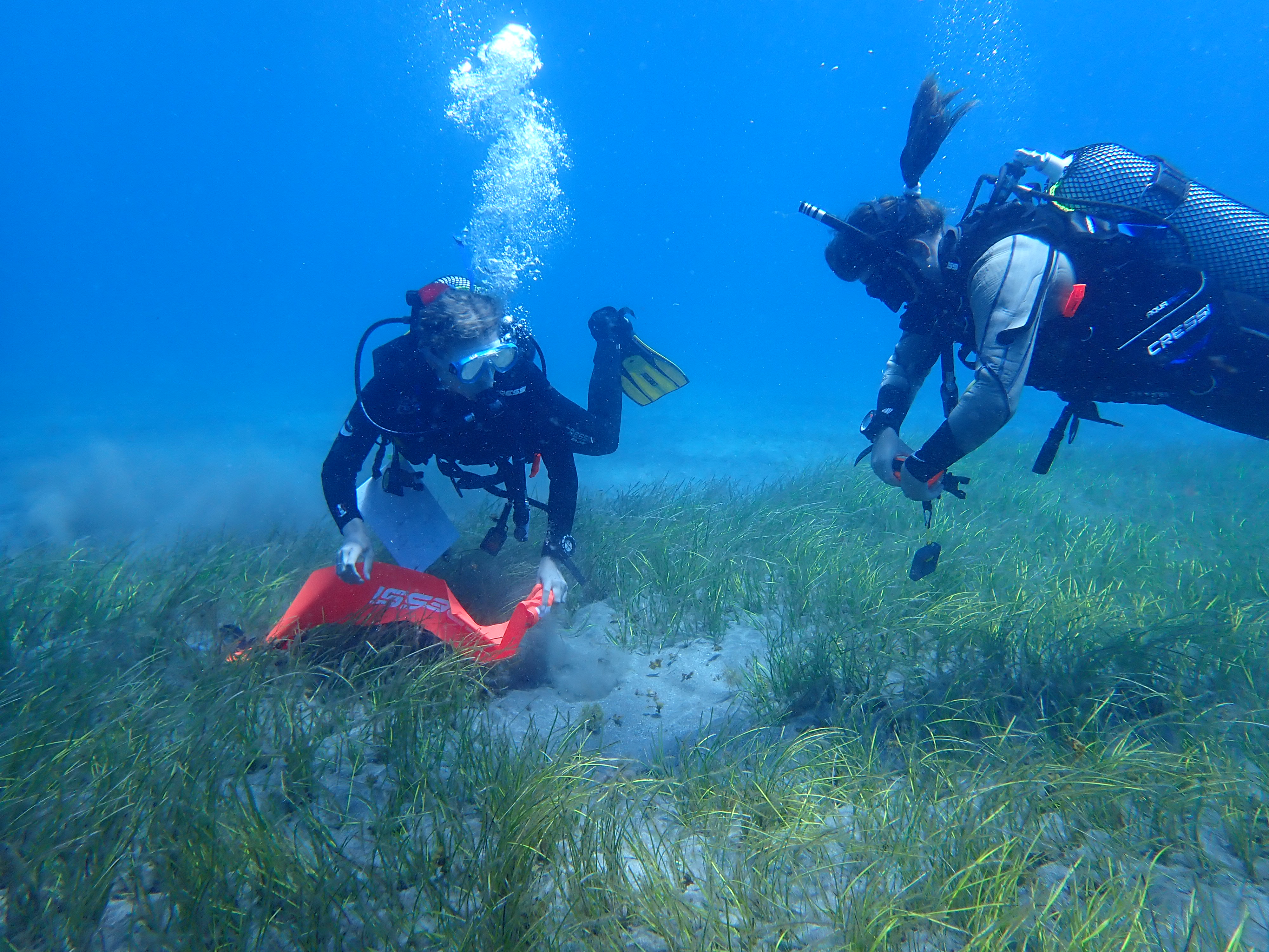 Internships in Tenerife, Spain, Intern Abroad HQ