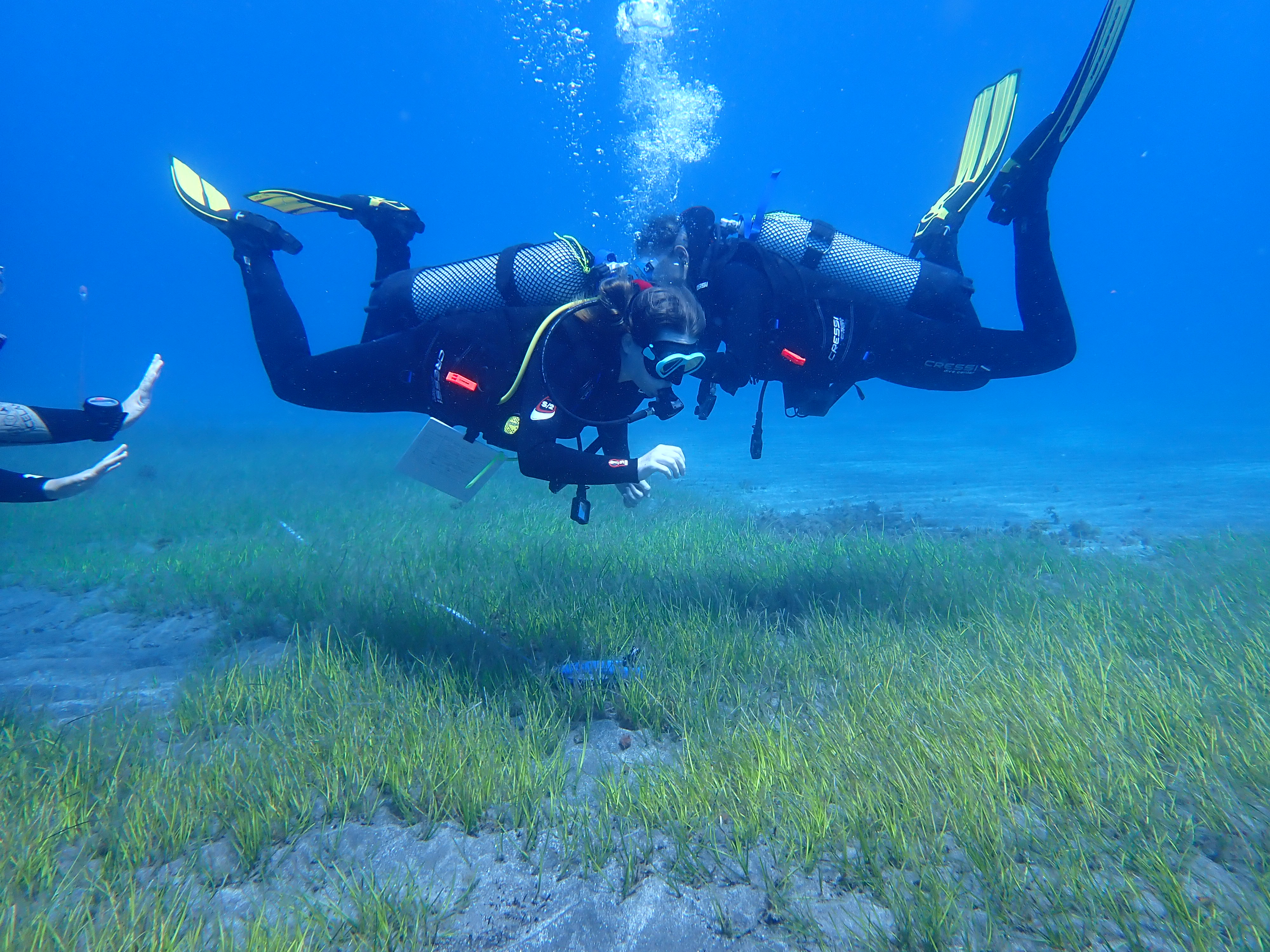 Internships in Tenerife, Spain, Intern Abroad HQ