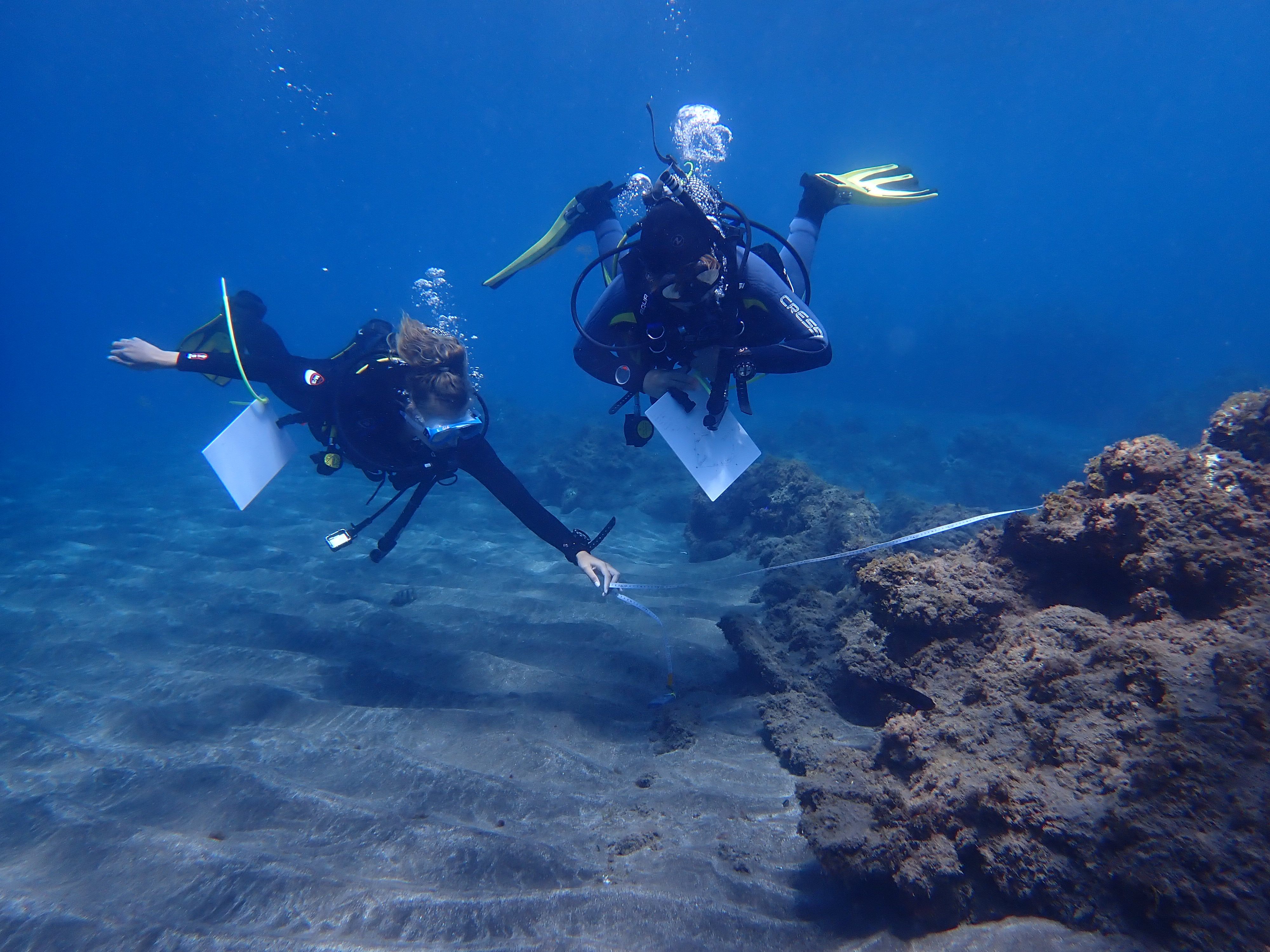 Internships in Tenerife, Spain, Intern Abroad HQ