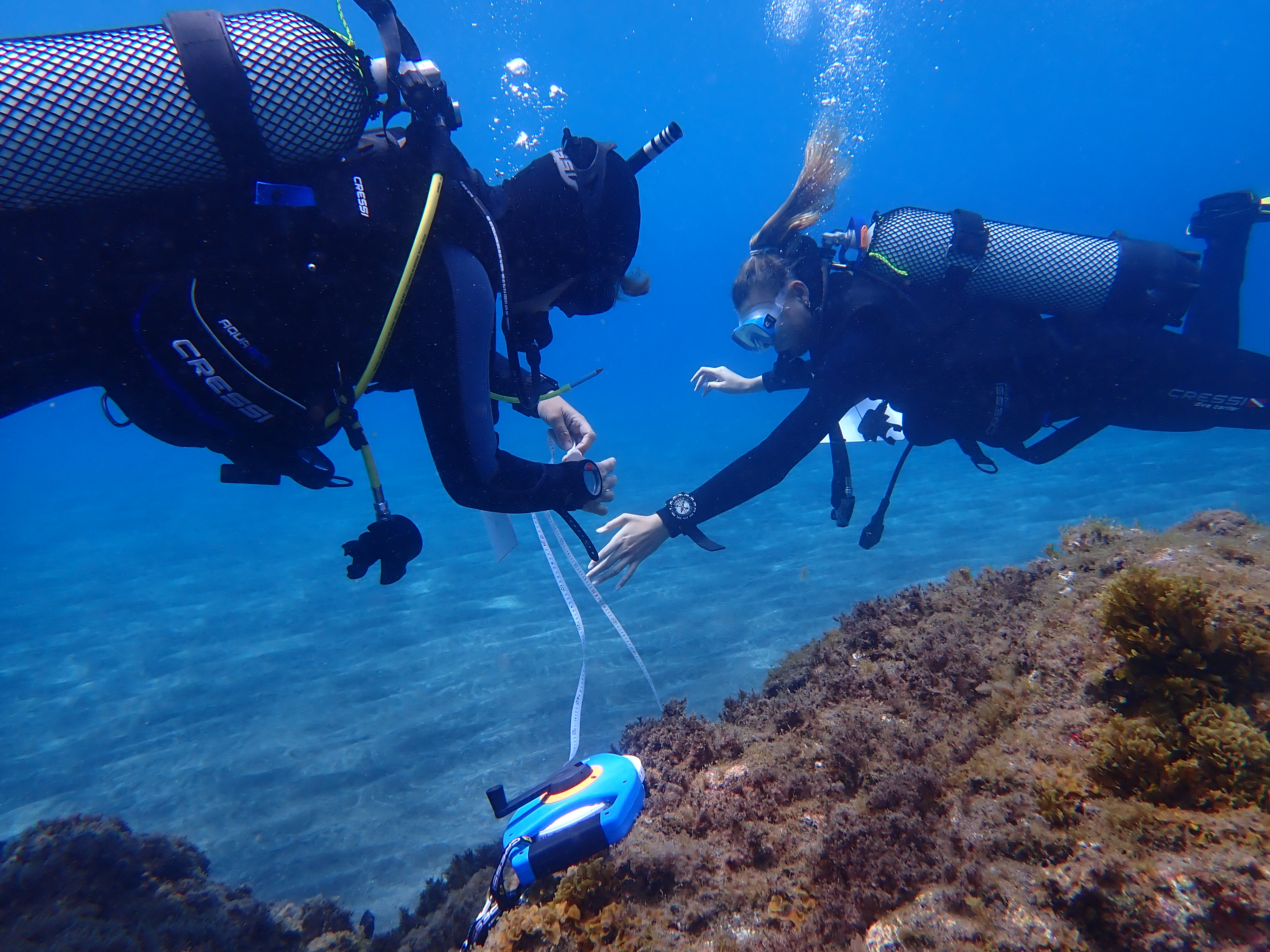 Internships in Tenerife, Spain, Intern Abroad HQ