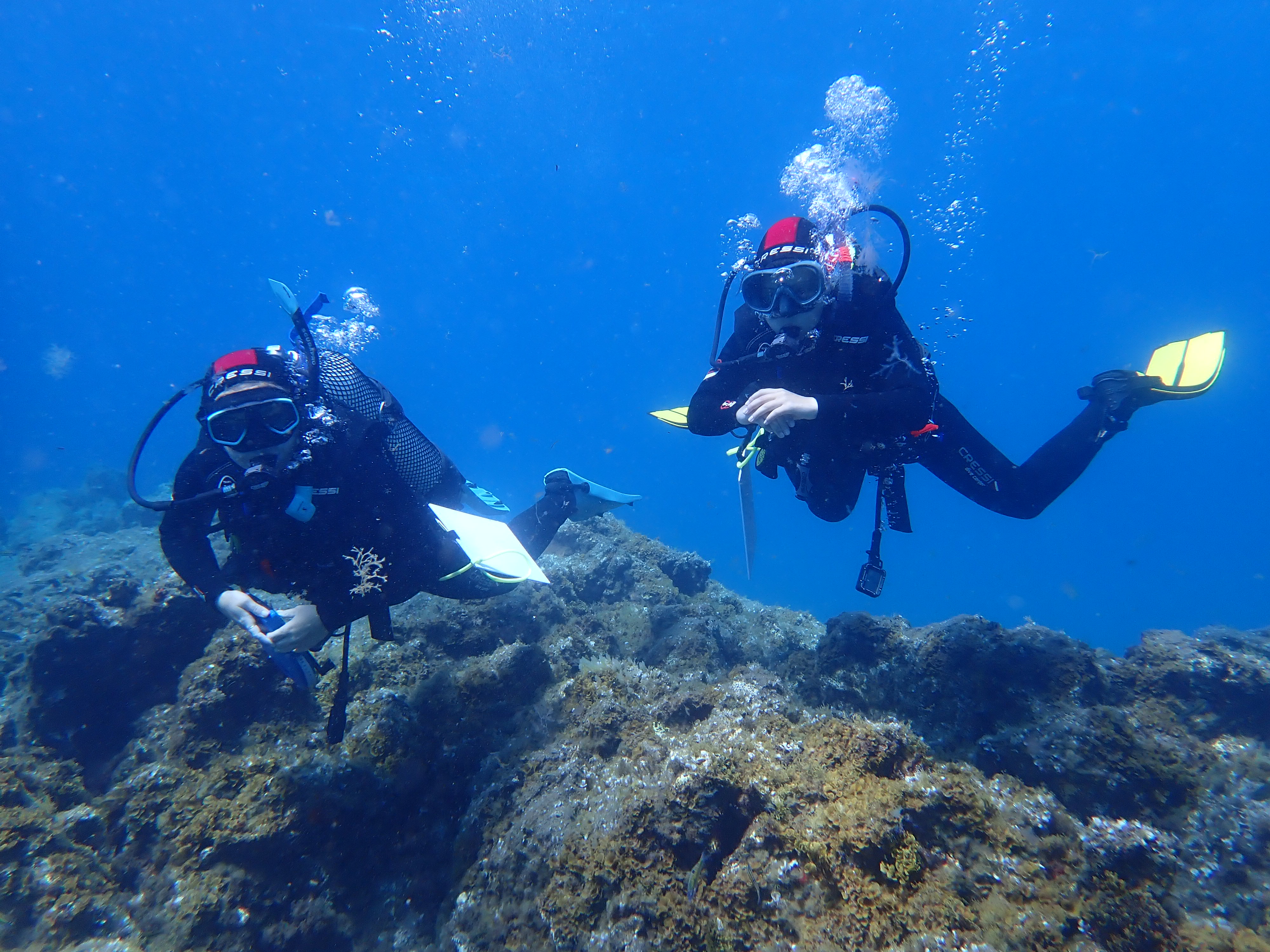 Internships in Tenerife, Spain, Intern Abroad HQ