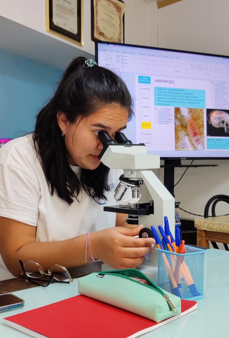 Internships in Tenerife, Spain, Intern Abroad HQ