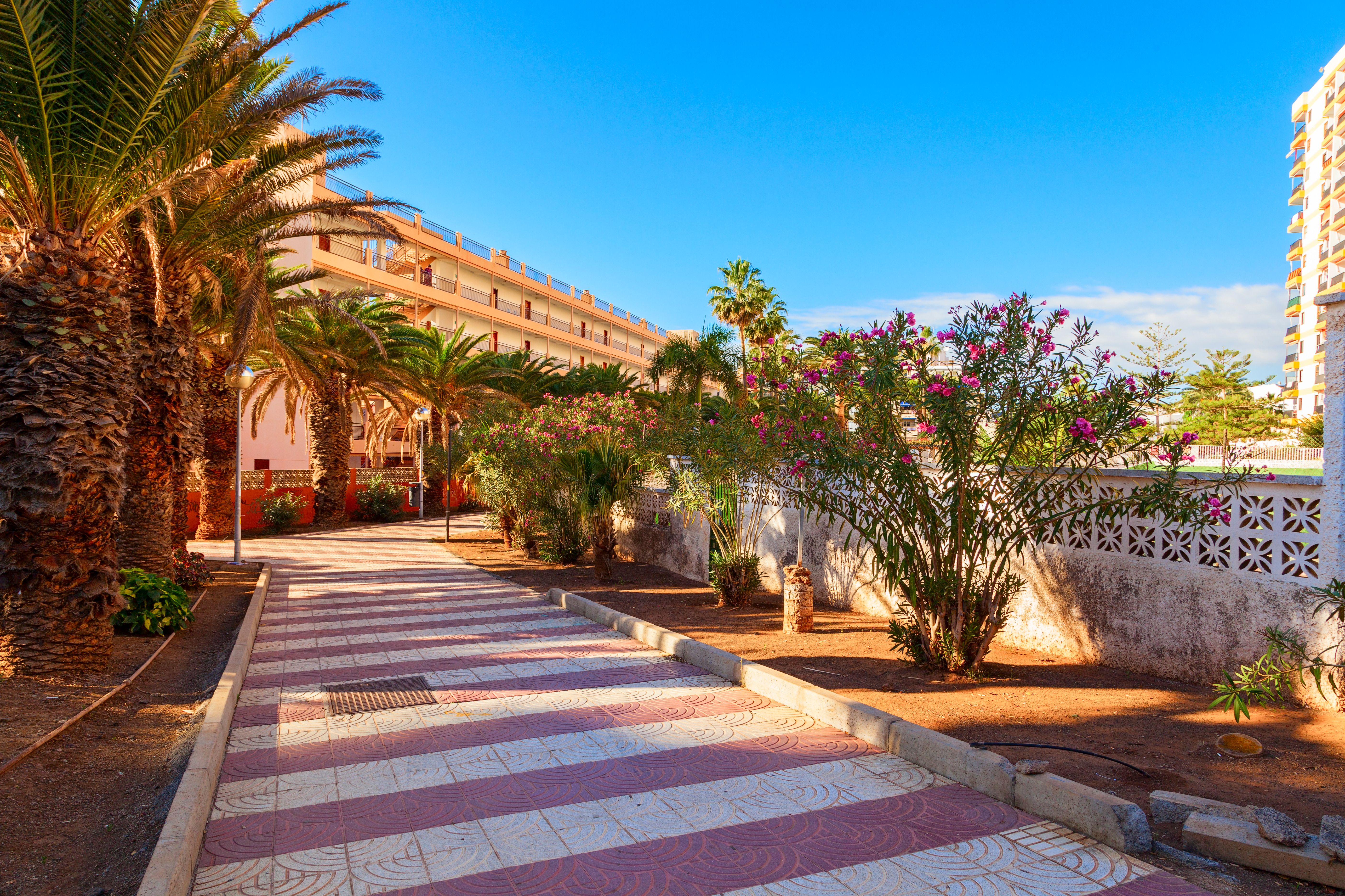 Internships in Tenerife, Spain, Intern Abroad HQ