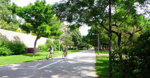 Cycling through the city parks in Valencia, Spain, Intern Abroad HQ