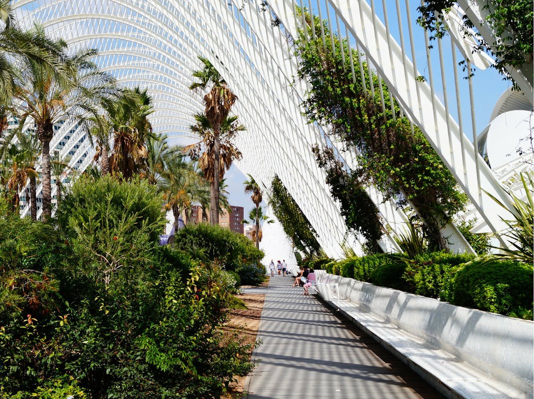 Explore the City of Arts and Sciences architectural complex in Valencia, Spain, Intern Abroad HQ