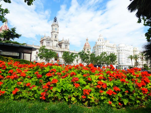 Gorgeous flowers in Valencia, Spain, Intern Abroad HQ