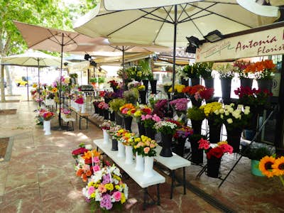 Flower markets in Valencia Spain, Intern Abroad HQ