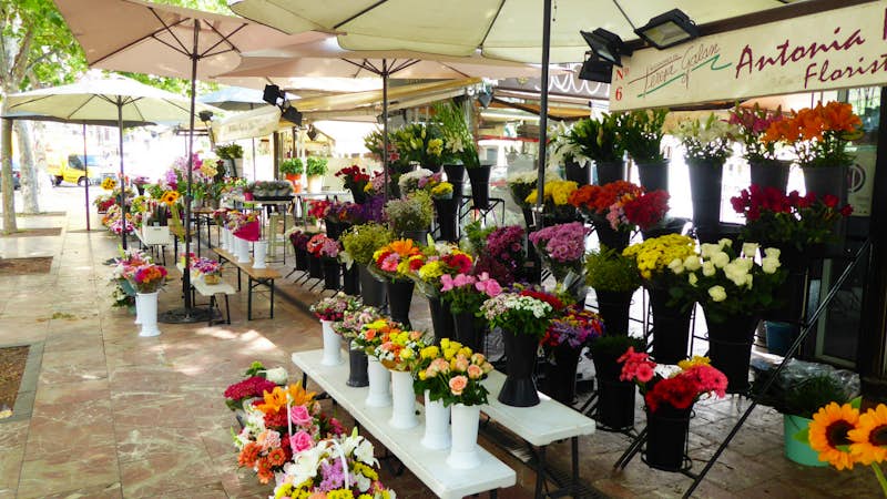 Flower markets in Valencia Spain, Intern Abroad HQ