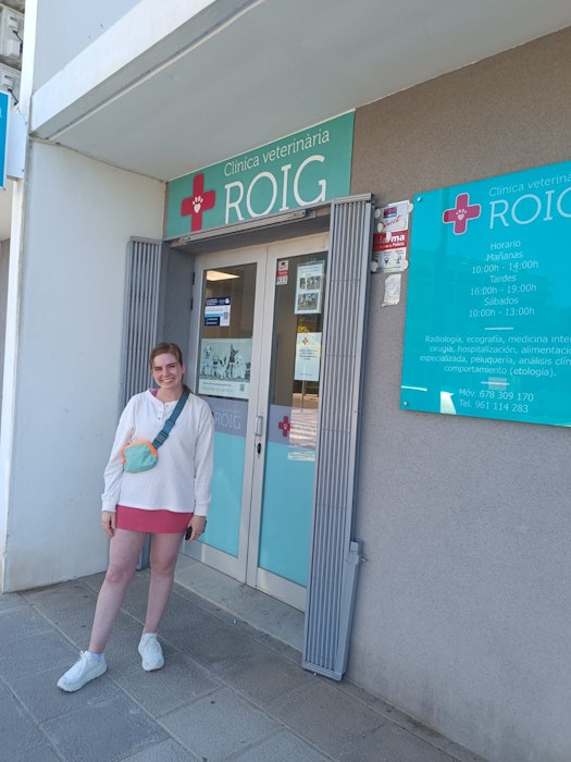 Veterinary & Animal Care Internships in Spain