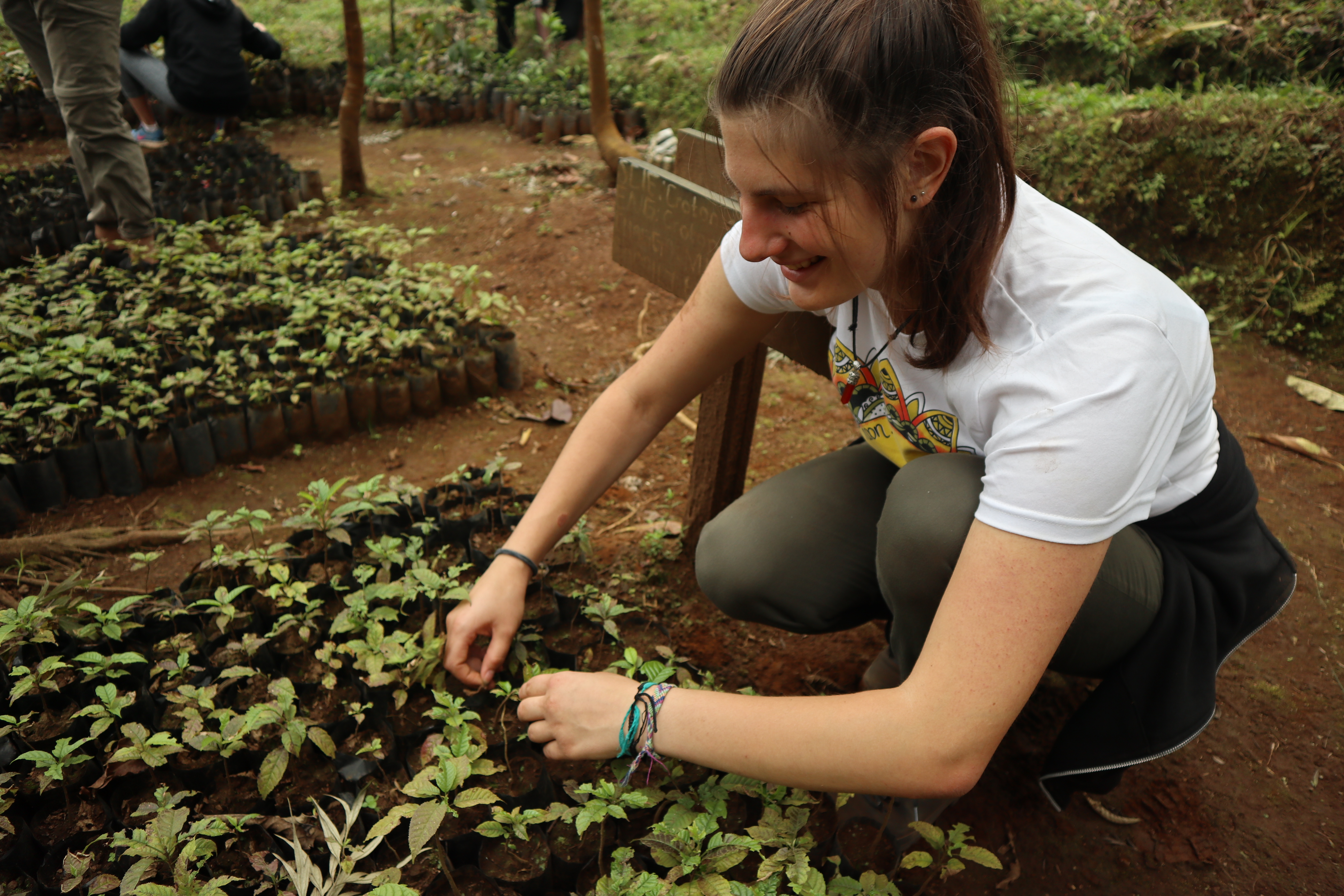 Remote Sustinable Farming internship out of Greece