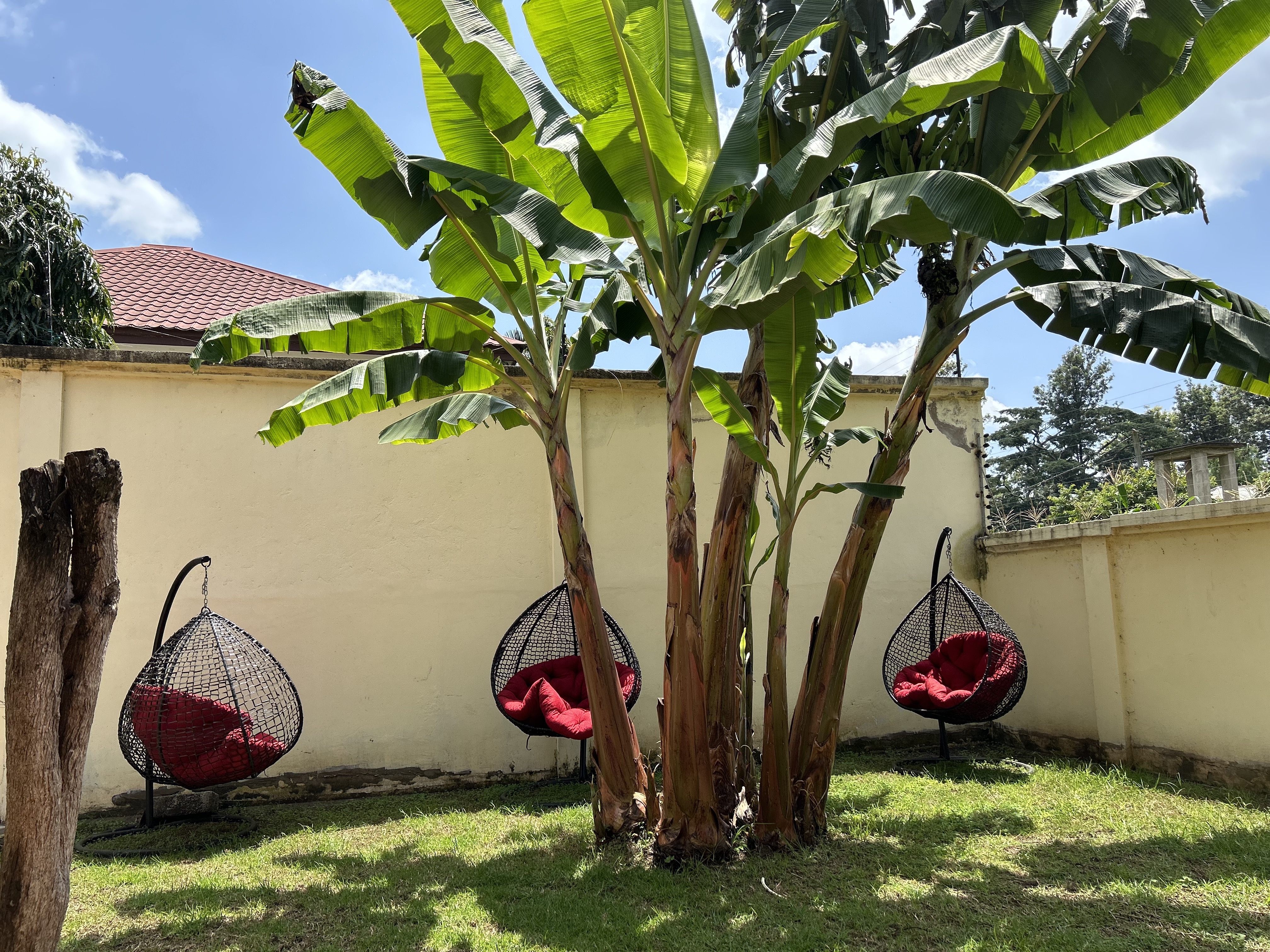 Accommodation gallery for internships in Arusha, Tanzania - Intern Abroad HQ