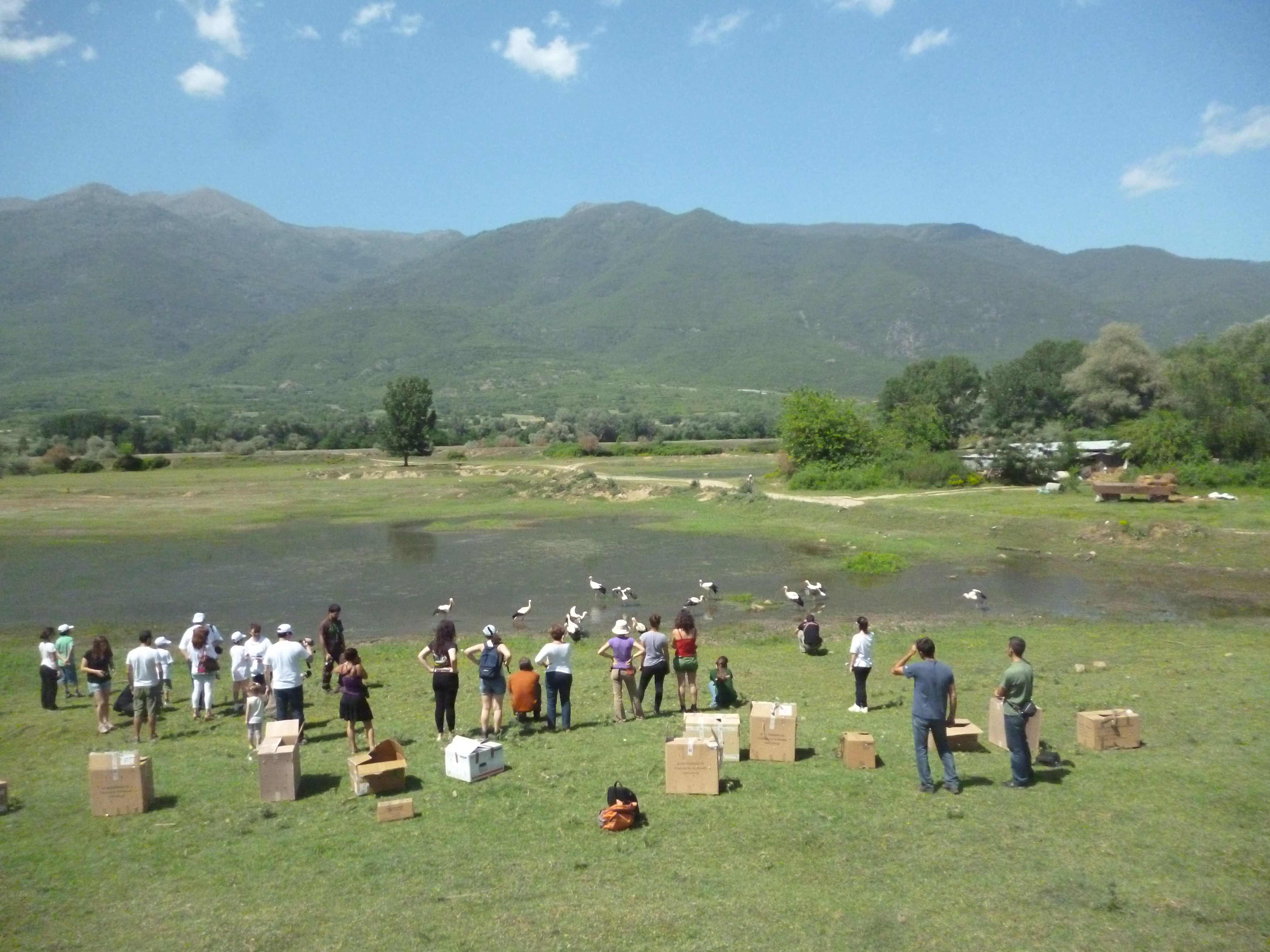 Wildlife Conservation internship in Greece, Intern Abroad HQ