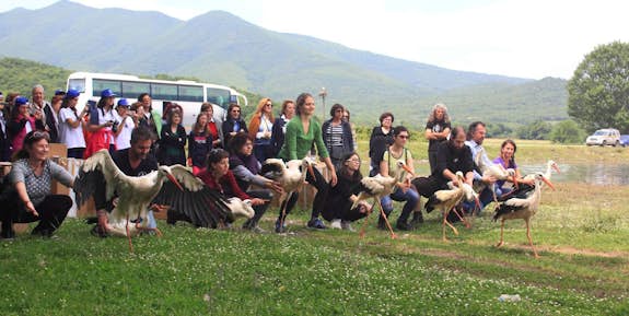 Wildlife Conservation internship in Greece, Intern Abroad HQ