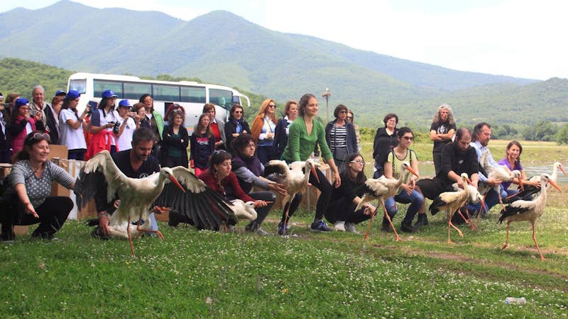 Wildlife Conservation internship in Greece, Intern Abroad HQ