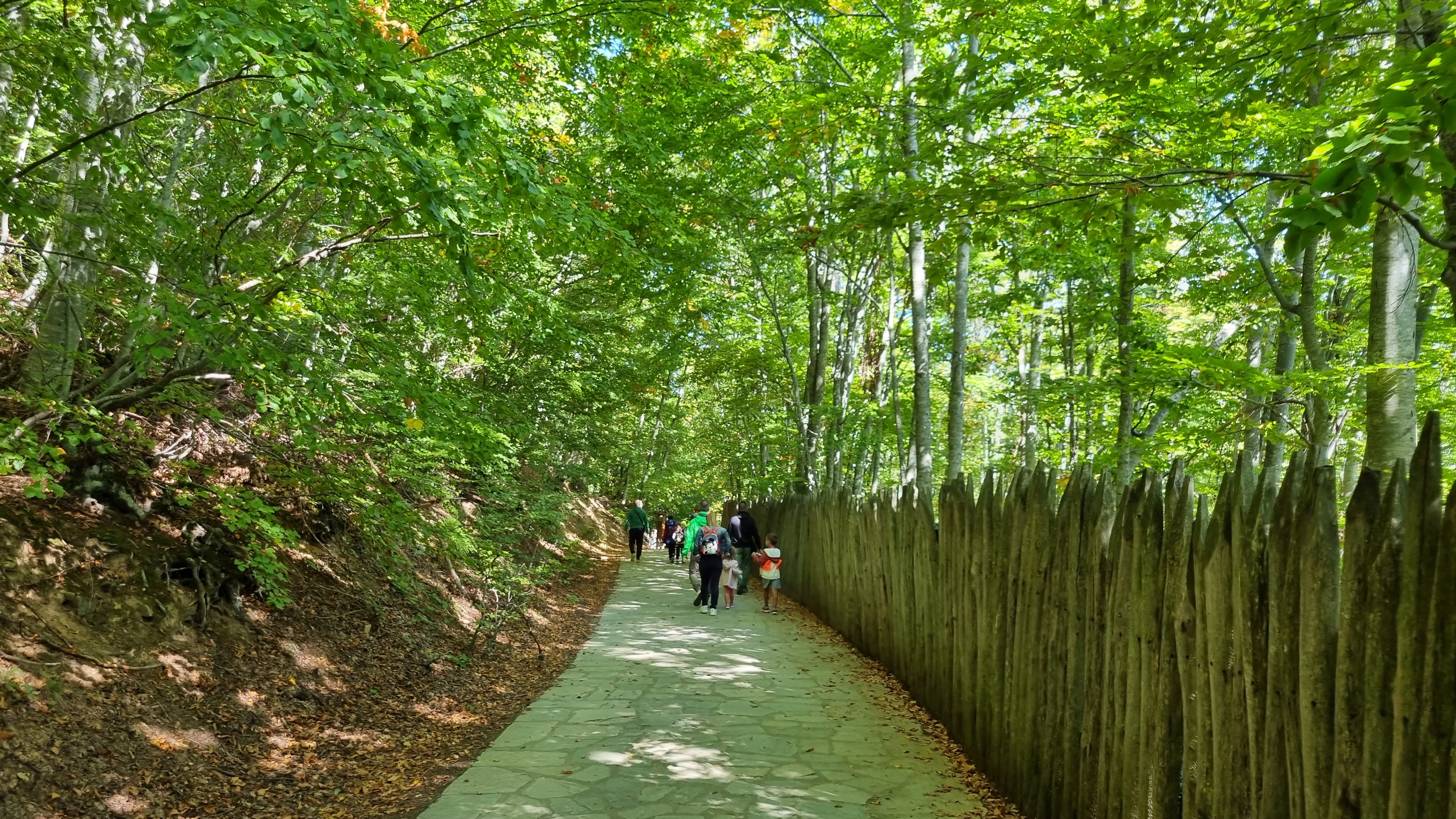 Wildlife Conservation Internships, Intern abroad in Thessaloniki, Greece