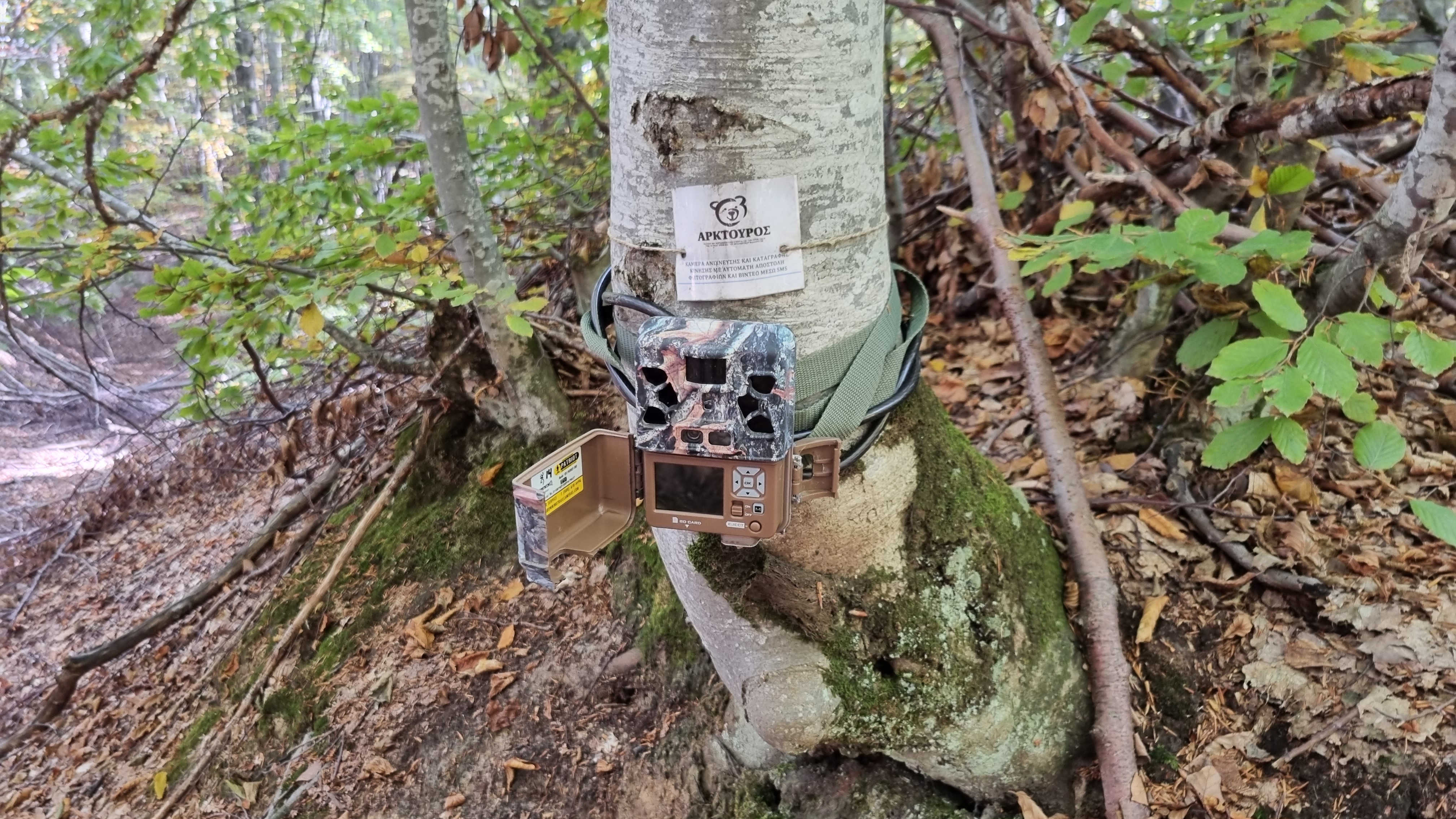 Wildlife Conservation Internships, Intern abroad in Thessaloniki, Greece