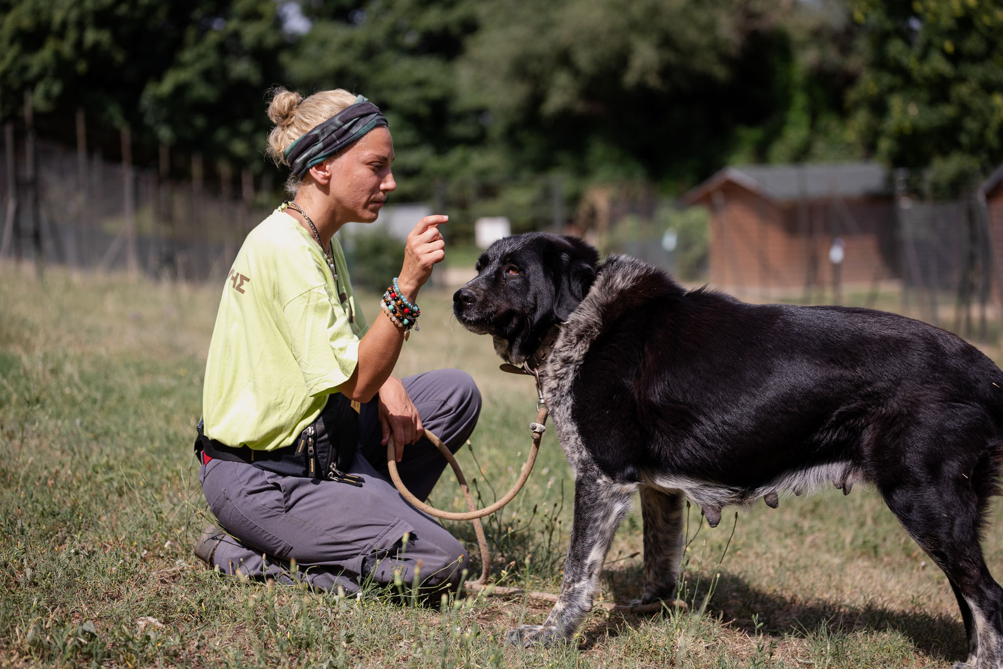 Wildlife Conservation Internships, Intern abroad in Thessaloniki, Greece