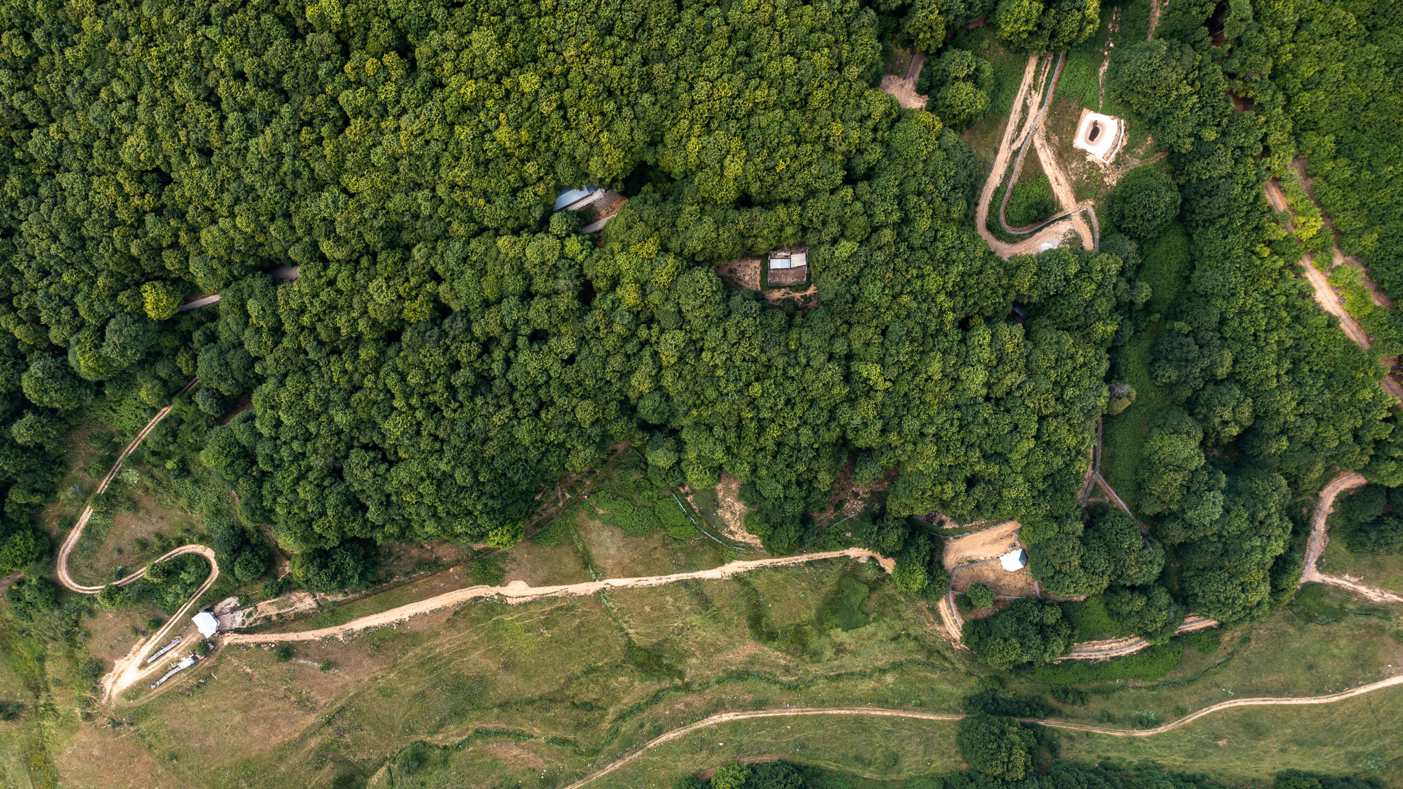 Wildlife Conservation Internships, Intern abroad in Thessaloniki, Greece