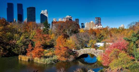 Central Park in New York City | Intern Abroad HQ