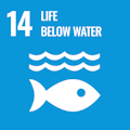 Contributes to United Nations’ Sustainable Development Goal #14: Life Below Water