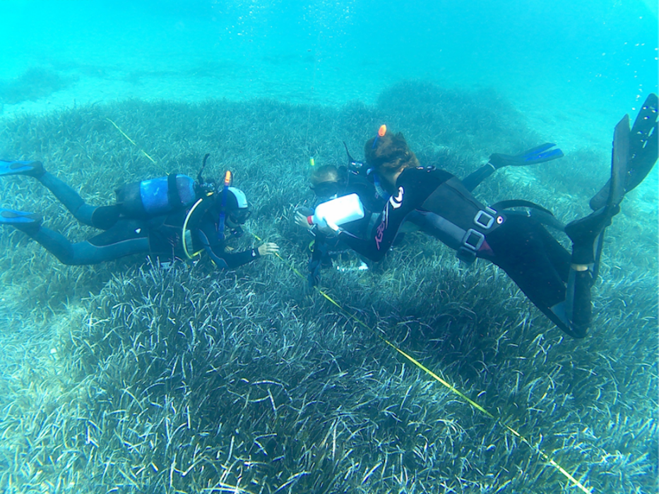 Remote Marine Ecology Internships in Greece Intern Online