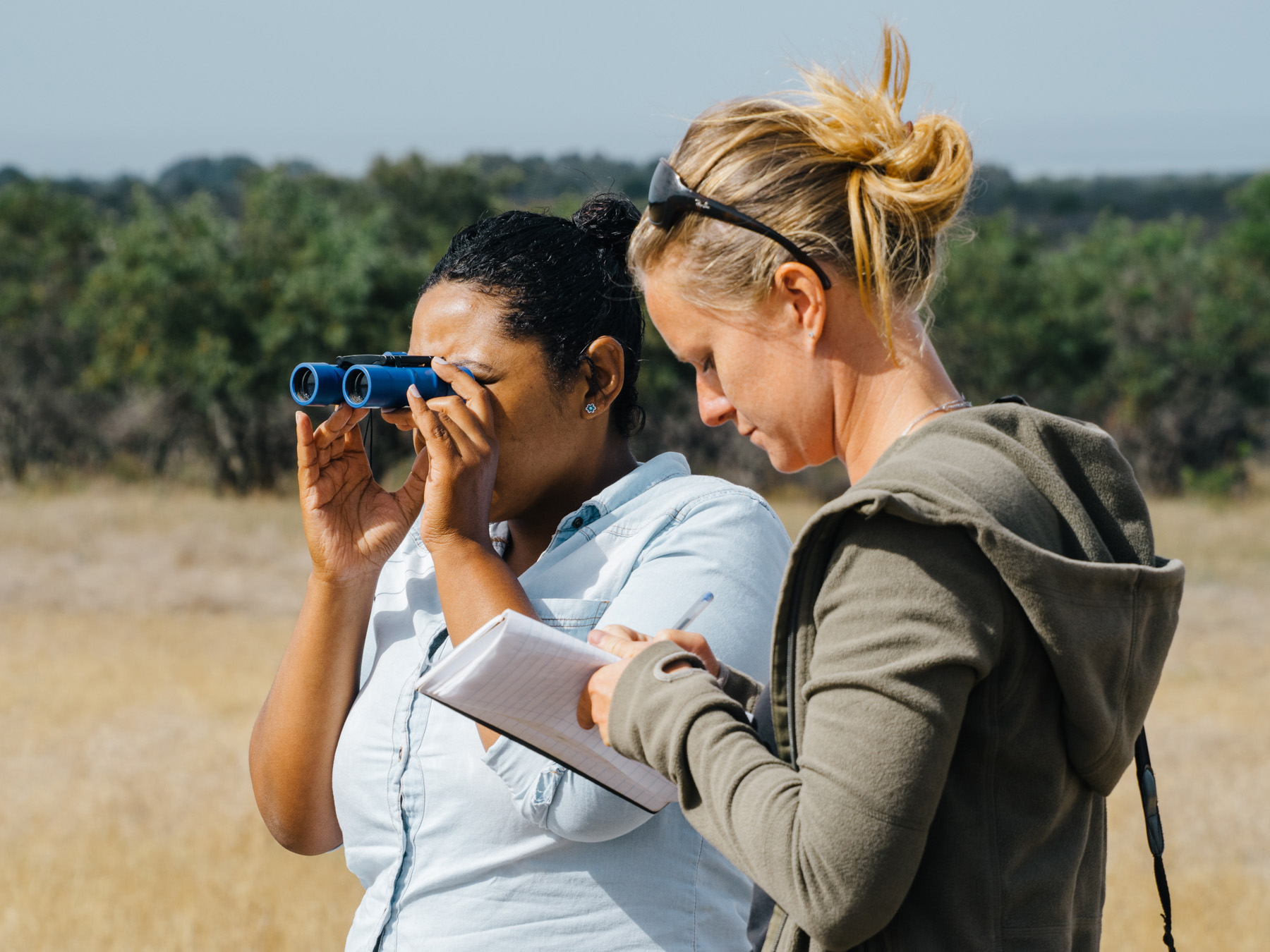 Two interns conduct fieldwork outdoors, using binoculars and taking notes in nature.