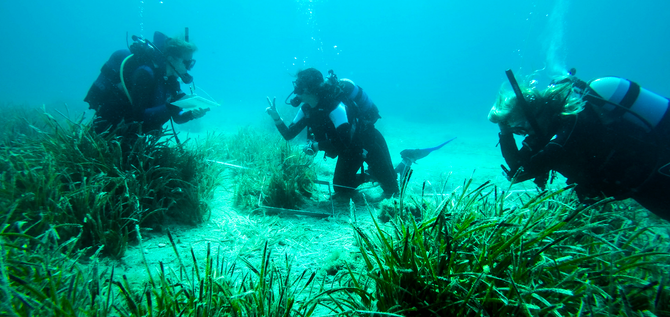 Why Intern with Intern Abroad HQ