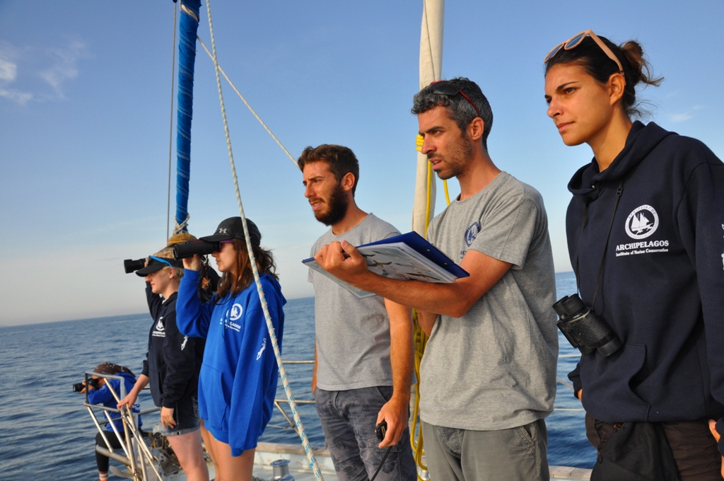 Our Experiential Learning Curriculum deepens the impact of your internship