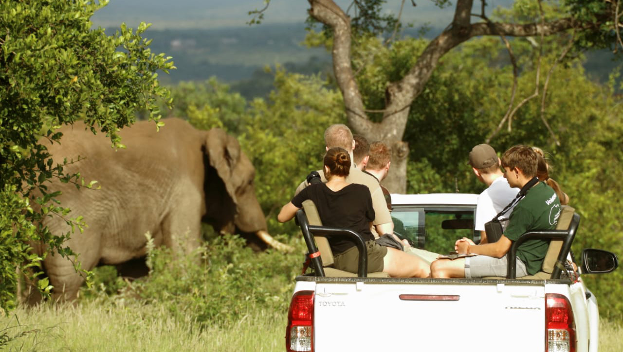 What is a B Corporation?