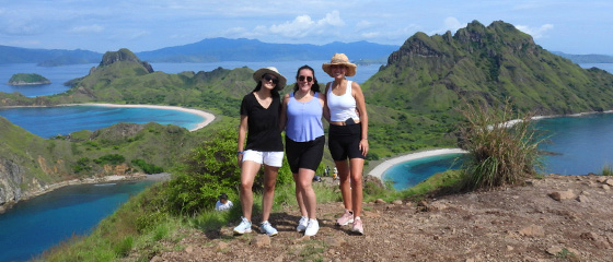 Best Internships Abroad for the Winter Break 2024 & 2025