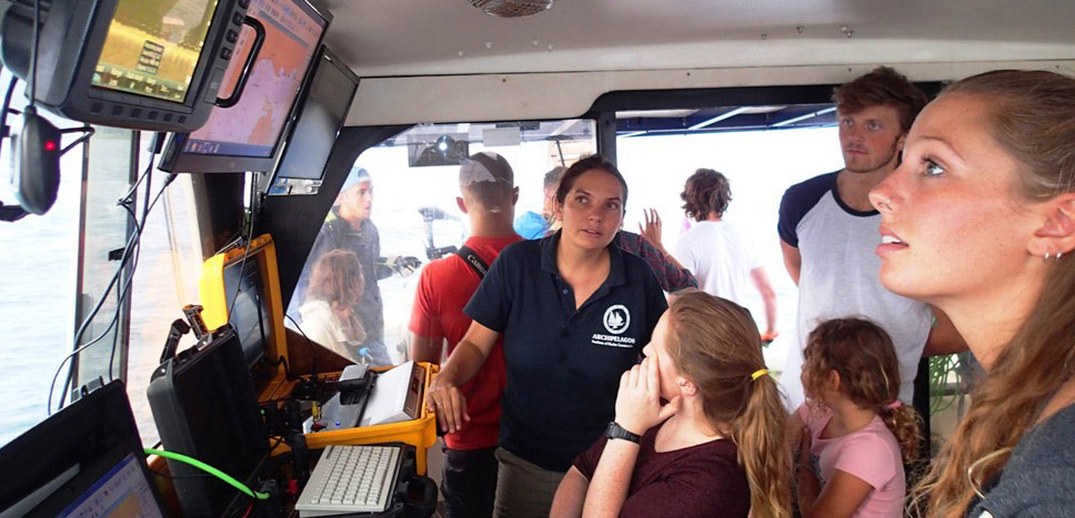 Journal Entries & Feedback