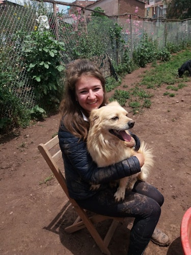 Veterinary Internships Abroad Vet & Animal Care Internships