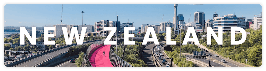 Internship funding in New Zealand